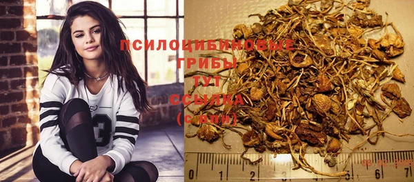 ALPHA-PVP Богородицк