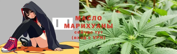 тгк Бородино