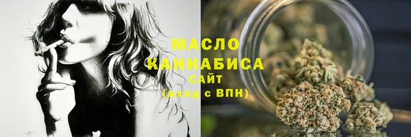 тгк Бородино