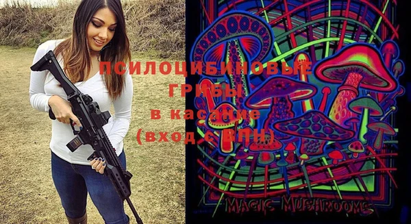 гашик Бугульма