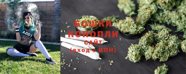 сатива Бронницы
