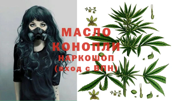 сатива Бронницы