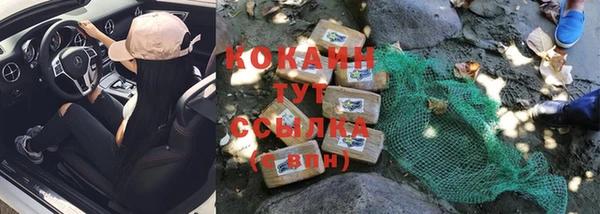 сатива Бронницы