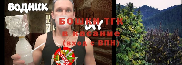 сатива Бронницы