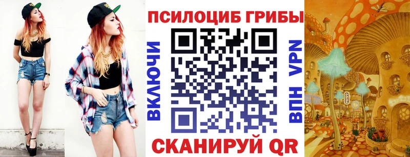 купить закладку  Волжск  Галлюциногенные грибы мицелий 